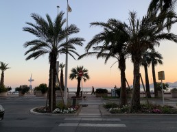 La Croisette in Cannes at Sunset