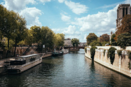 The Seine and Notre Dame